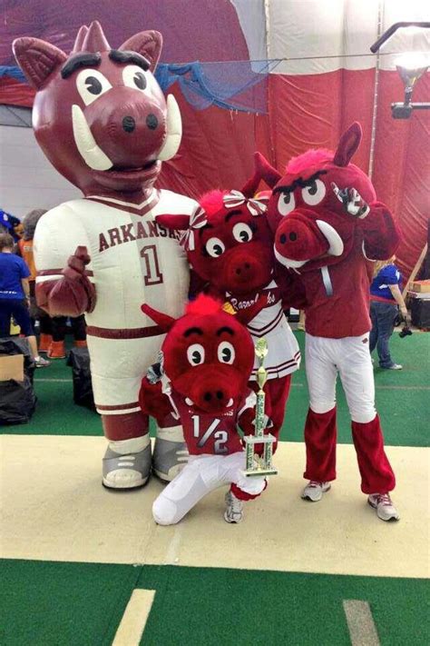 The Arkansas Hog Mascot: A Symbol of Resilience on and off the Field